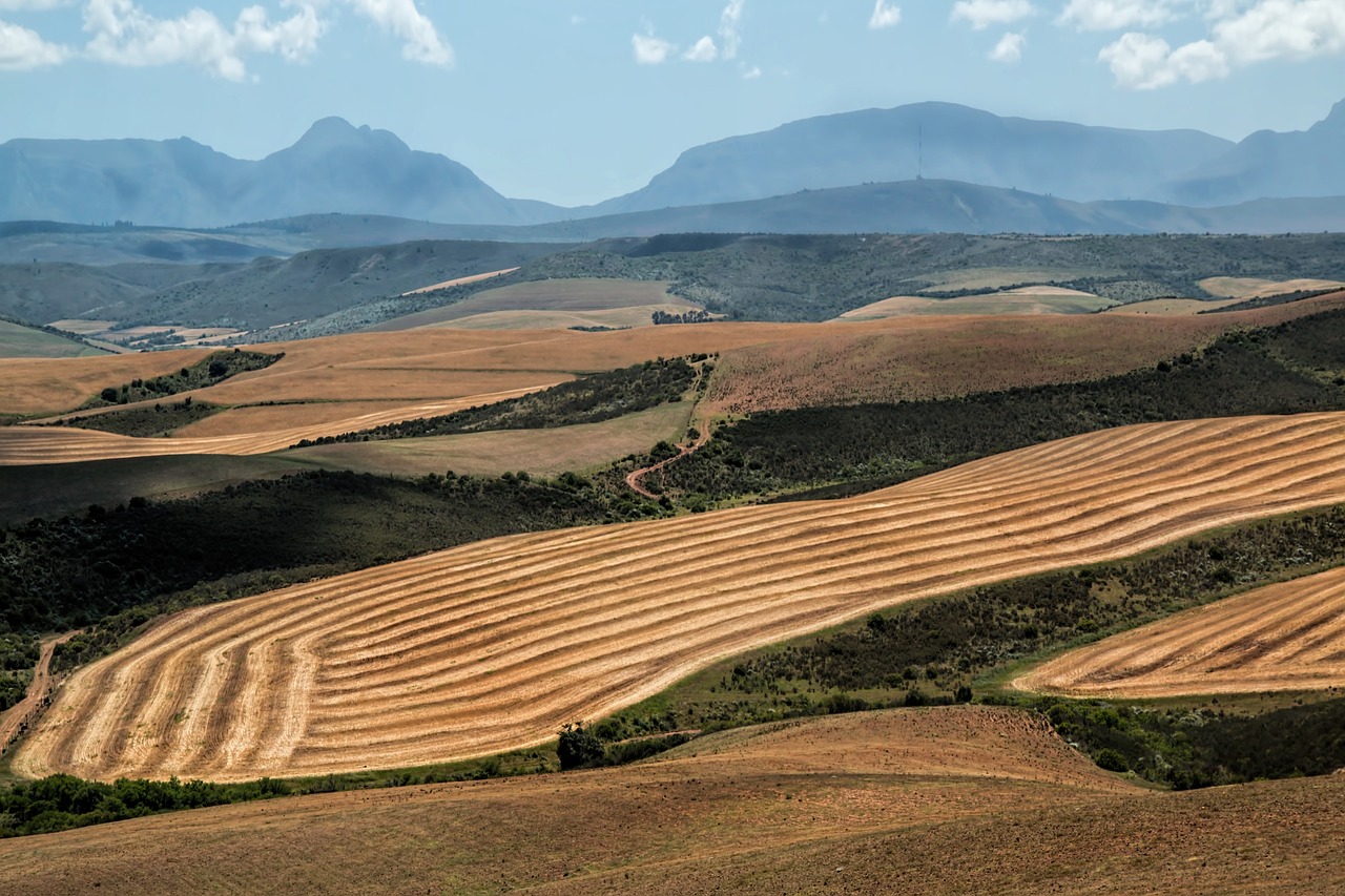 Image - landscape wheat fields harvest