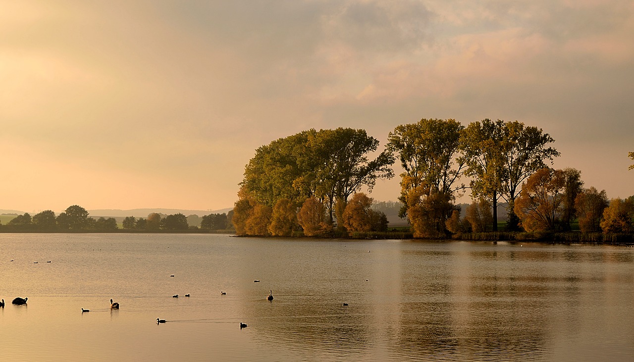Image - abendstimmung pond autumn
