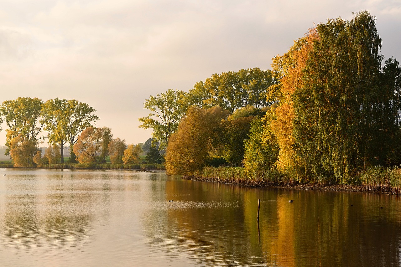 Image - mood autumn pond golden autumn