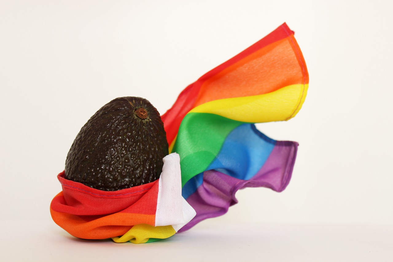 Image - gay fruit rainbow flag avocado