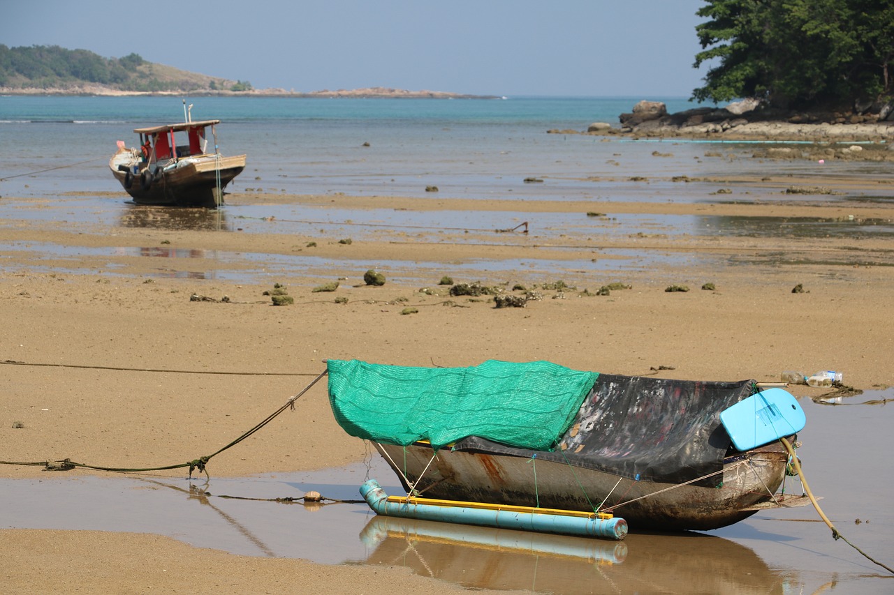 Image - low tide boat mar beach vessel