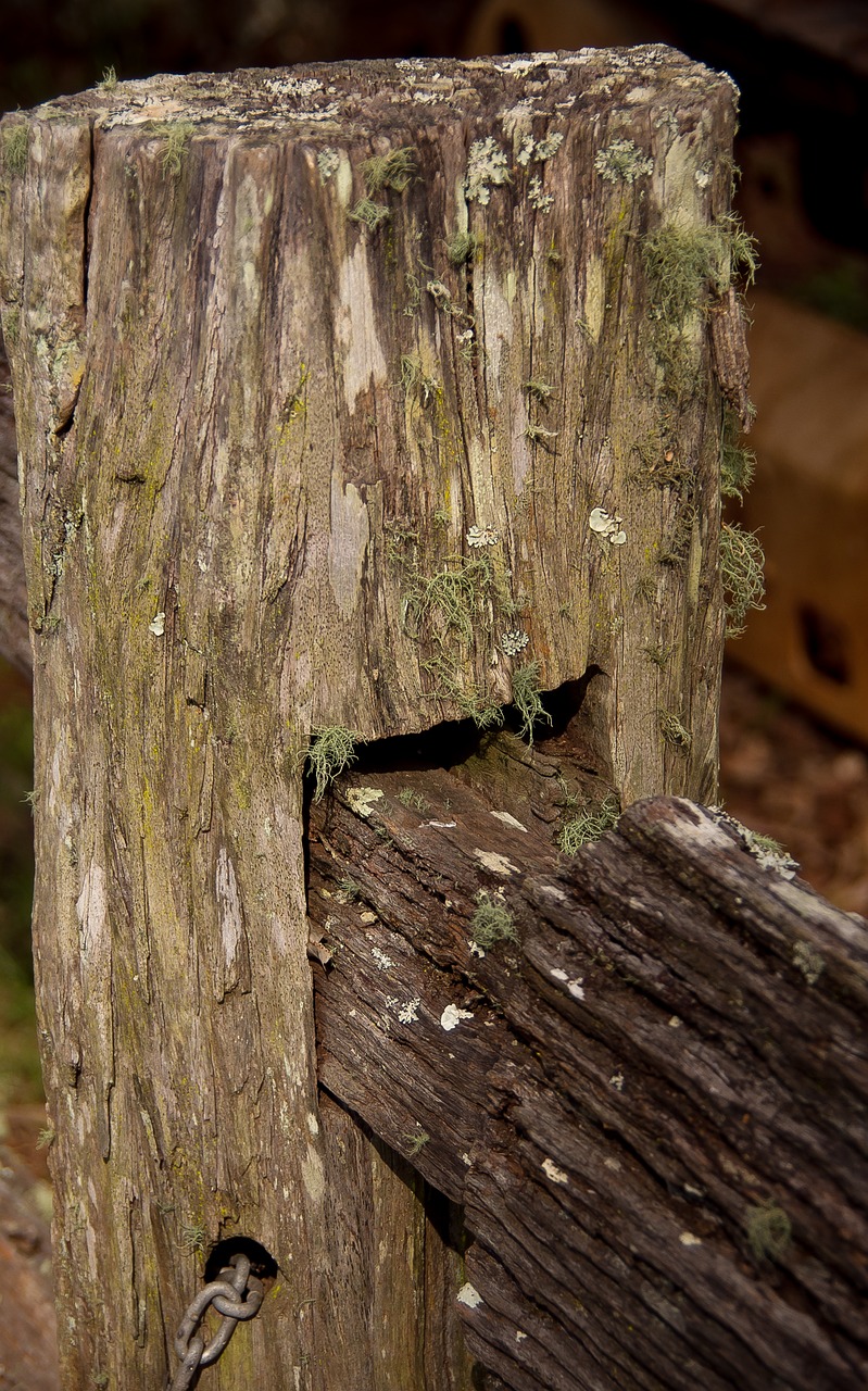 Image - fence old historic wooden joint