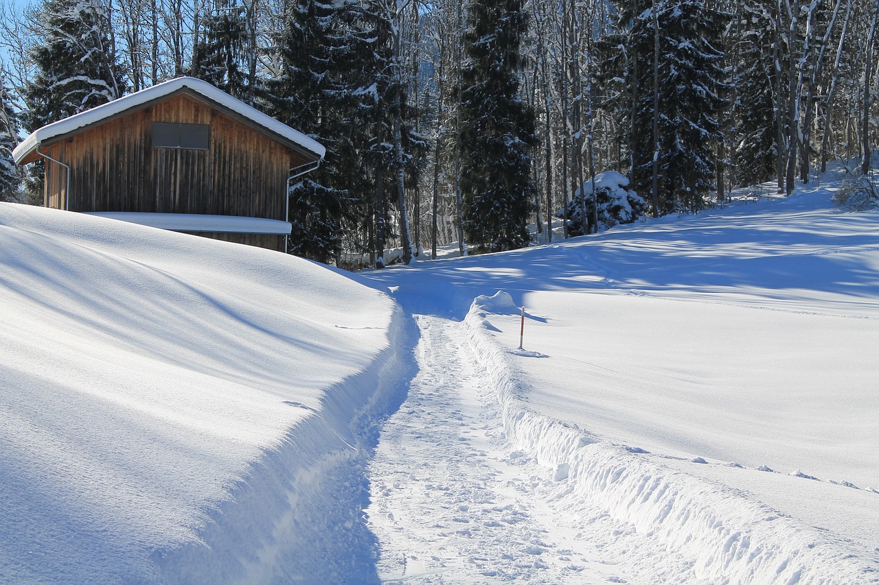 Image - winter hut snow away forest