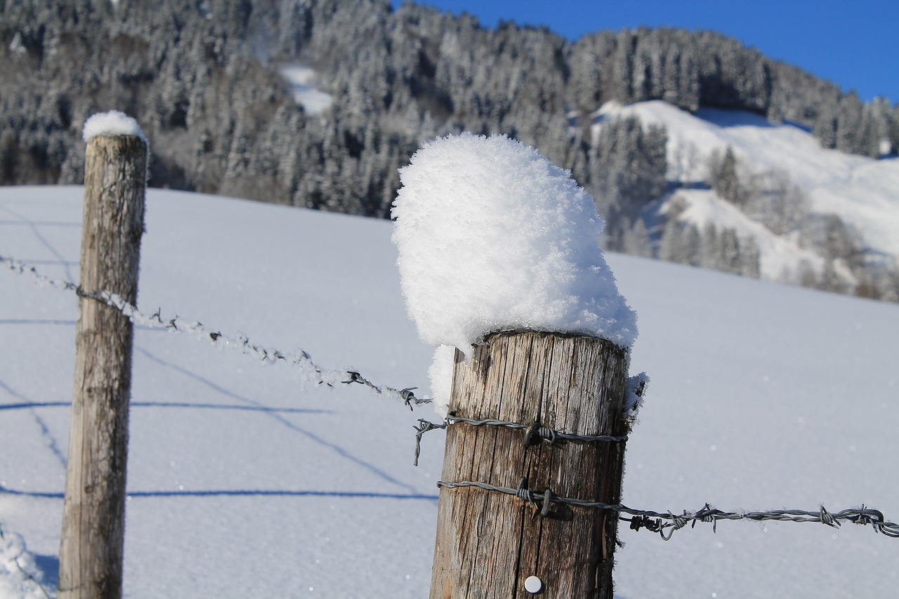 Image - pile winter mood barbed wire snow