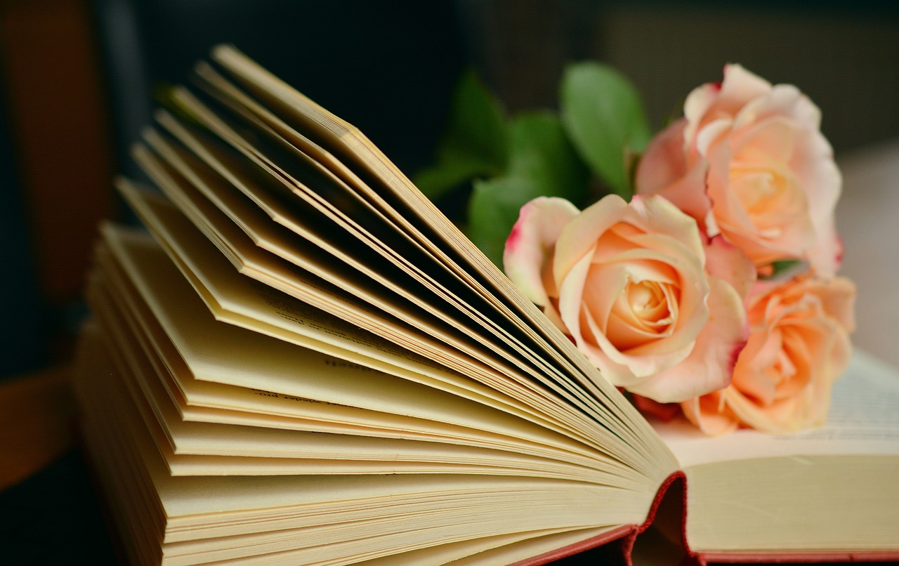 Image - book book pages read roses