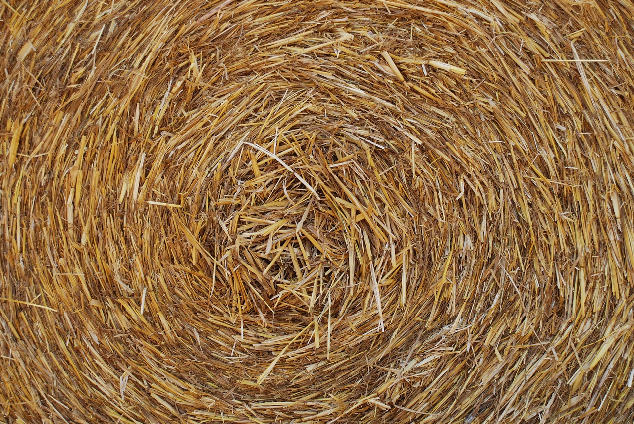 Image - hay yellow nature campaign italy