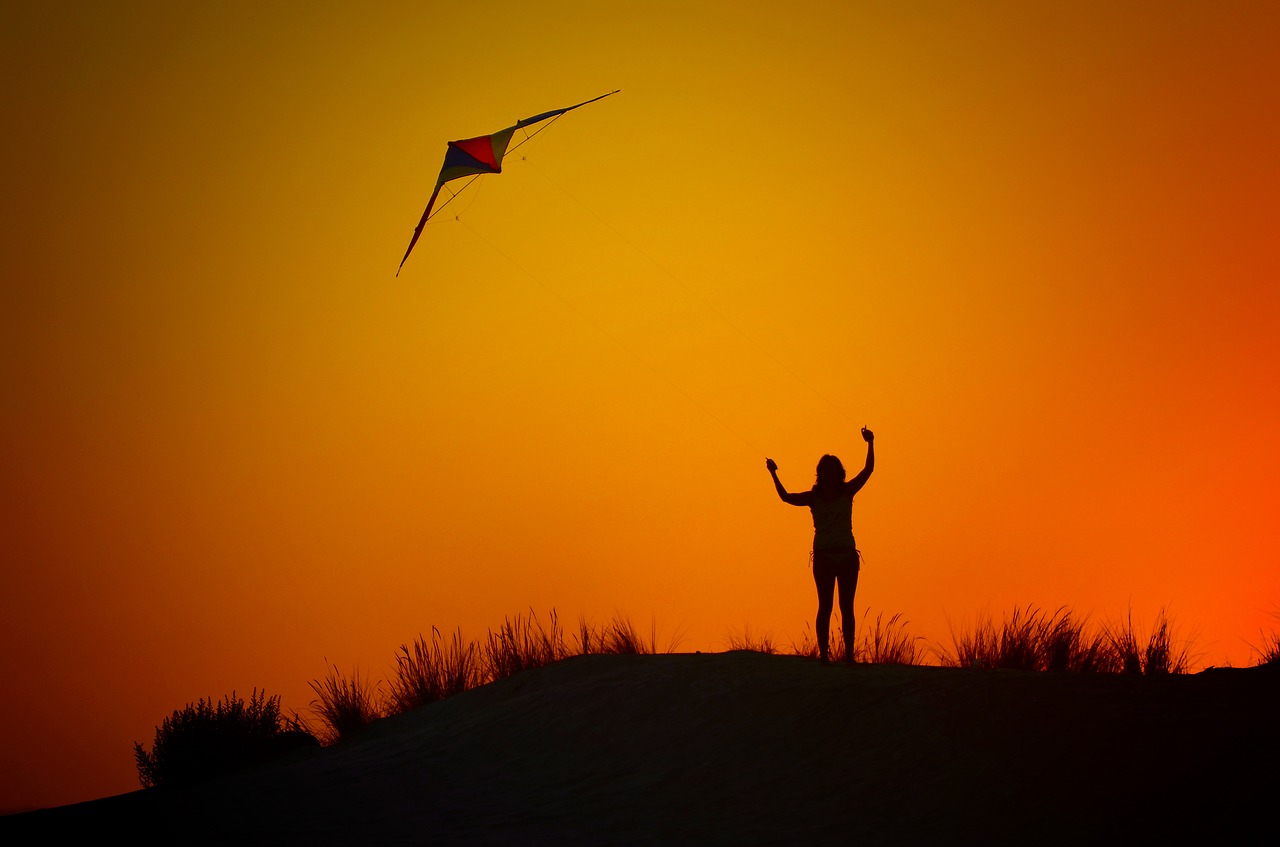 Image - backlight silhouette kite dusk