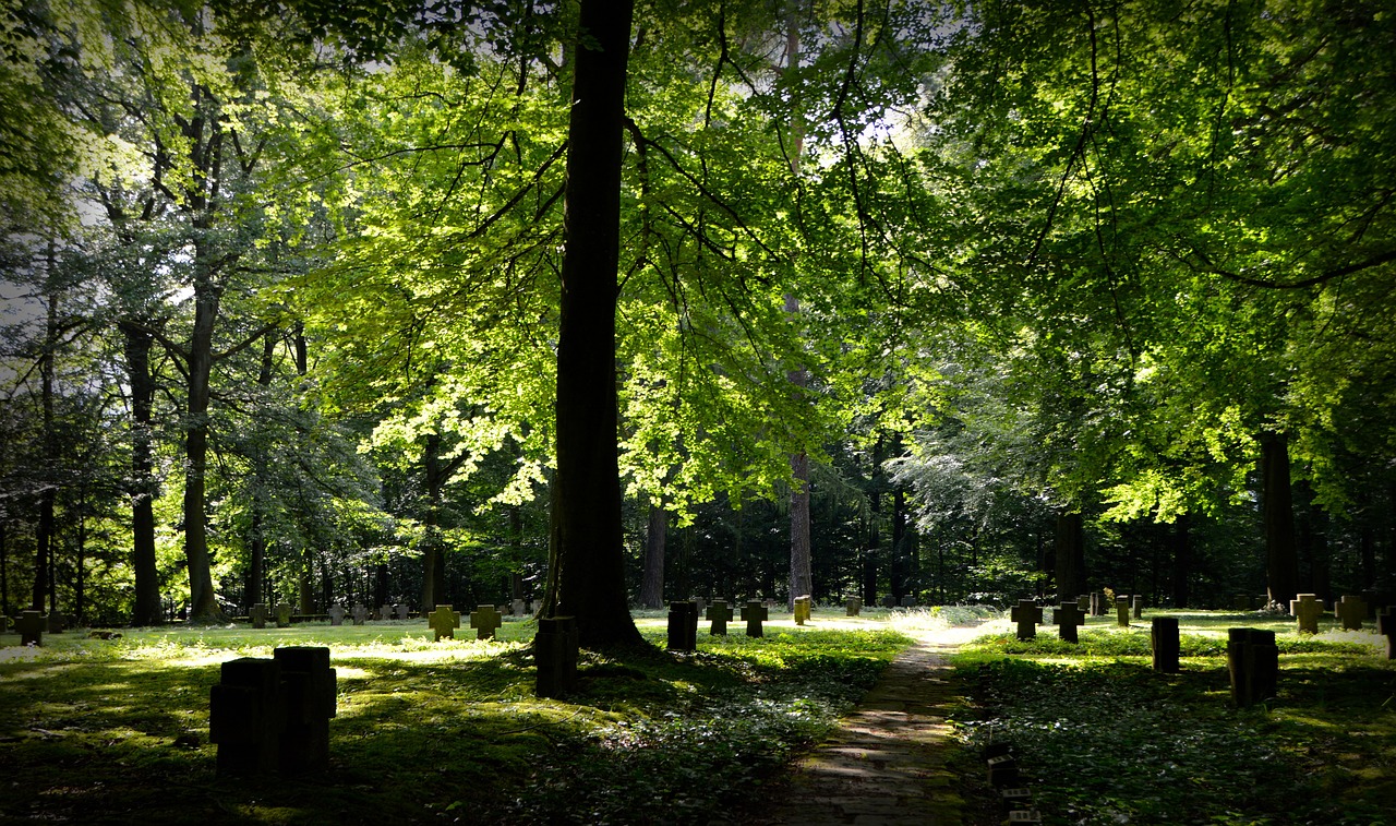 Image - forest commemorate memory crosses