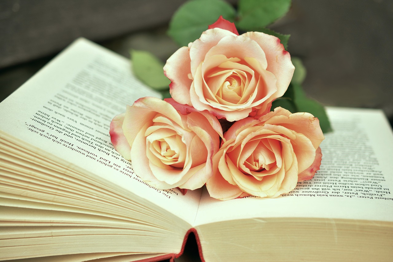 Image - book book pages read roses