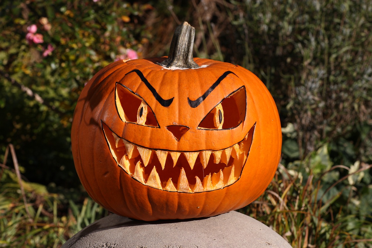 Image - pumpkin helloween autumn orange