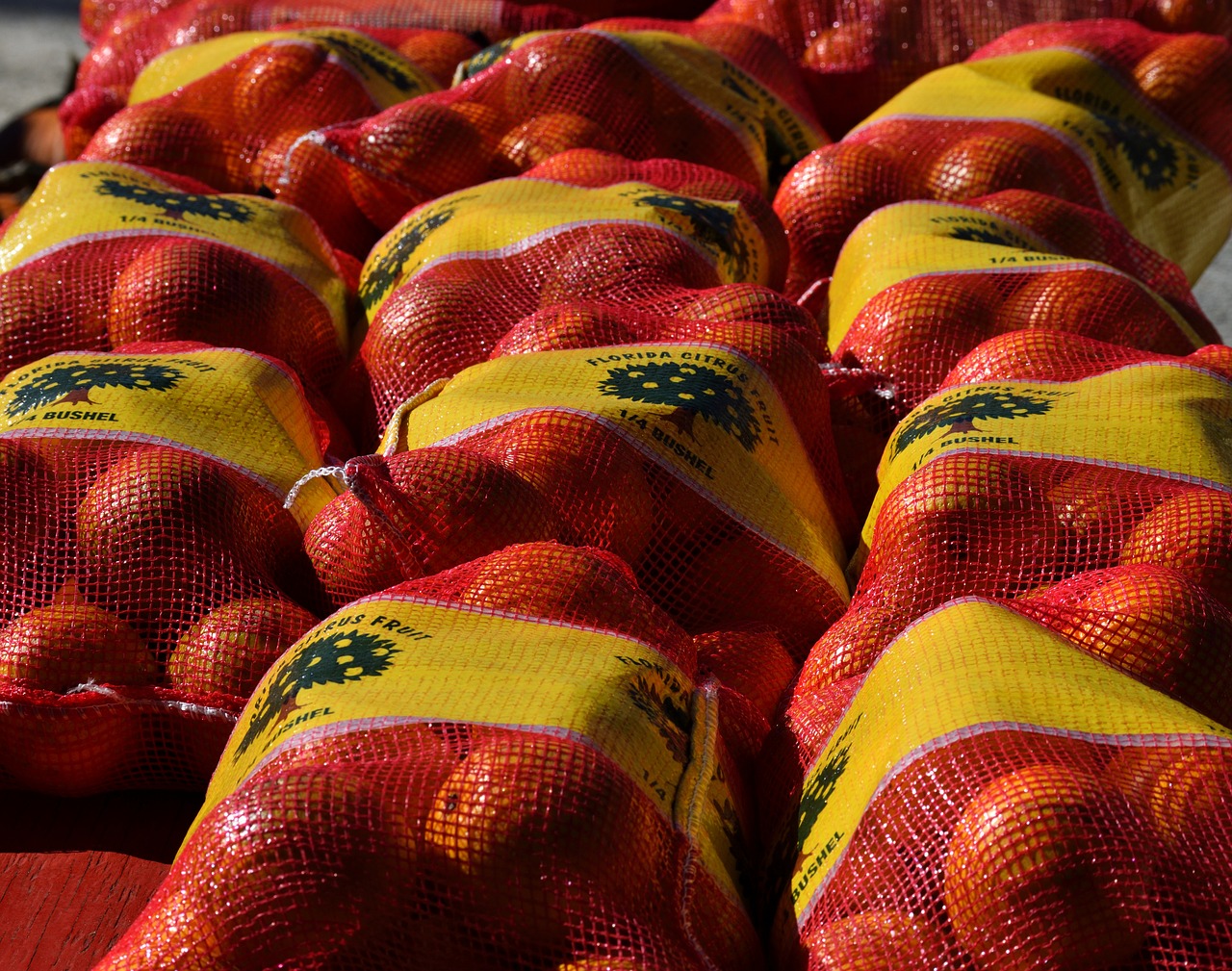 Image - oranges for sale fruit sale