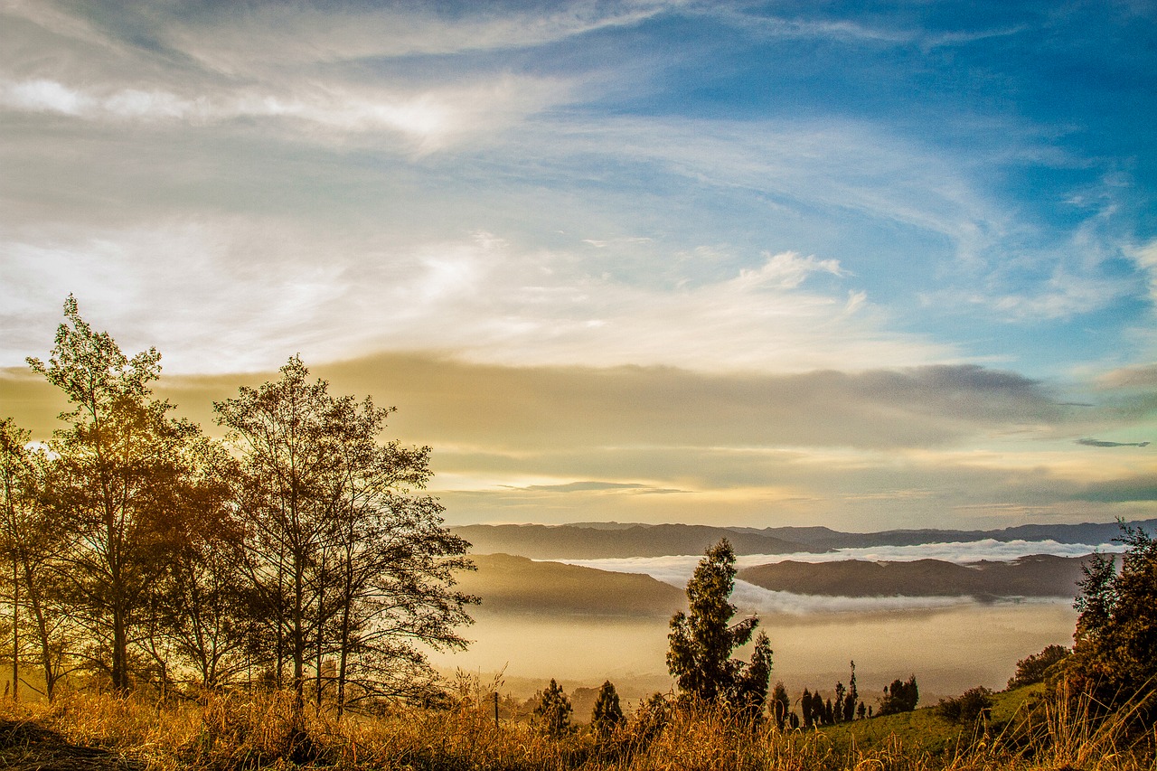 Image - natural nature landscape dawn