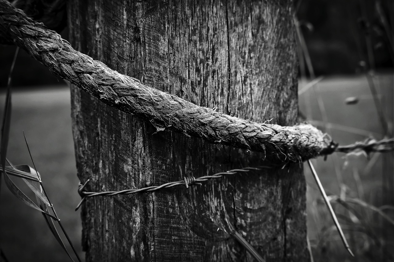 Image - wood pile fence post fence post