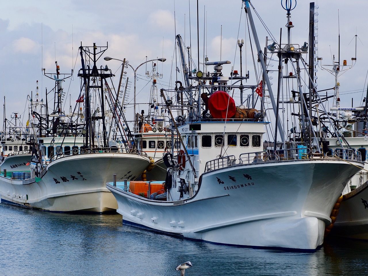 Image - fishing boat fishing port hokkaido