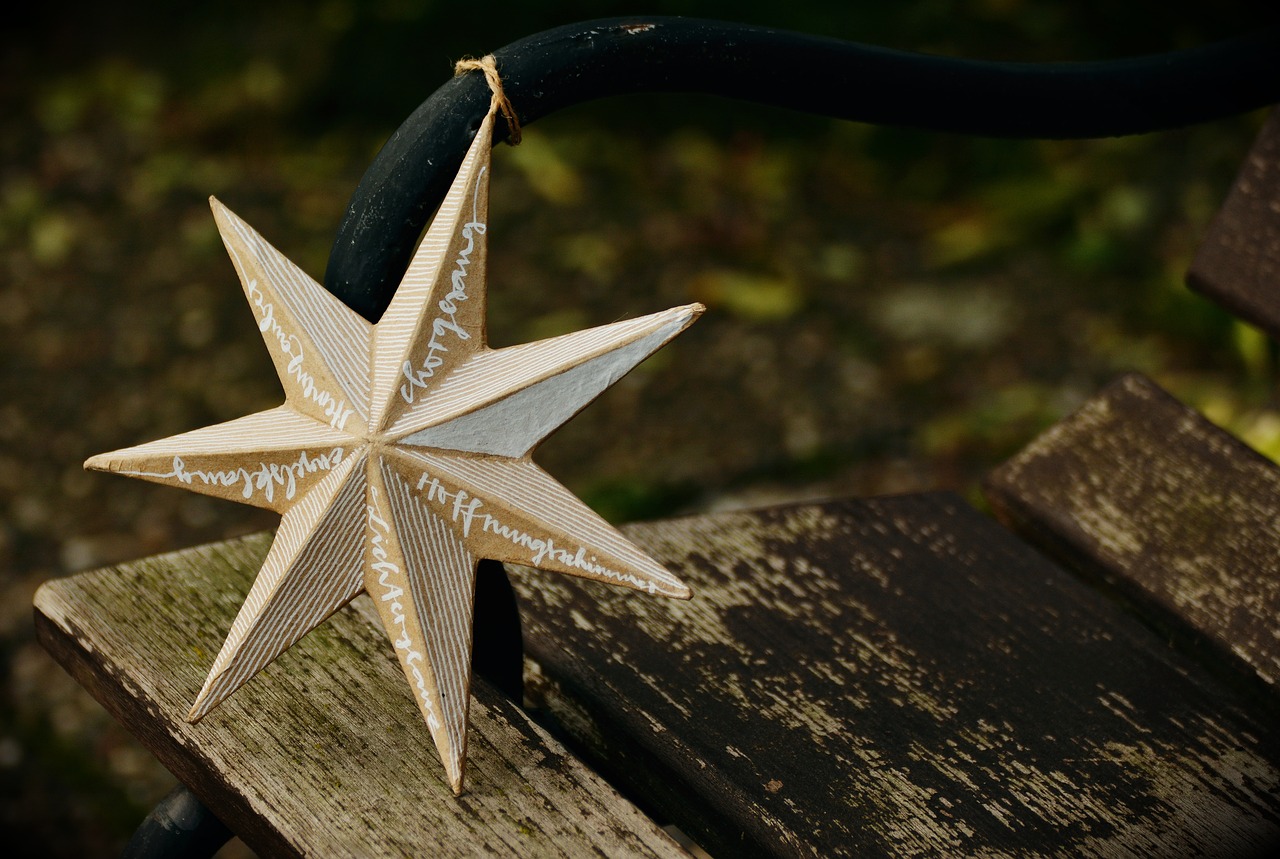Image - star poinsettia embassy