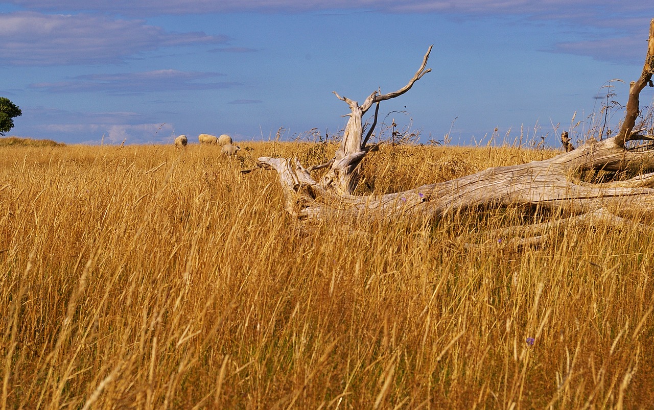 Image - gate denmark danish coast island