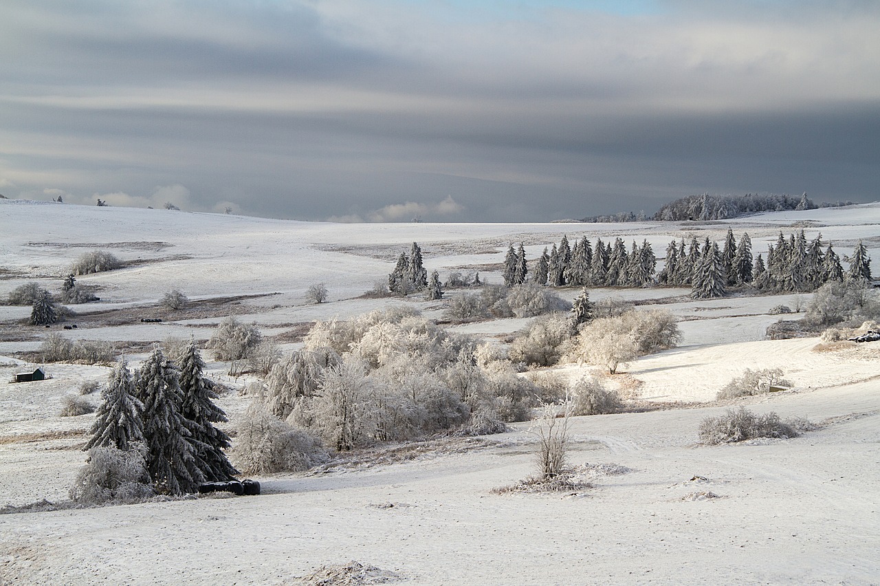 Image - winter snow wintry hochrhoen