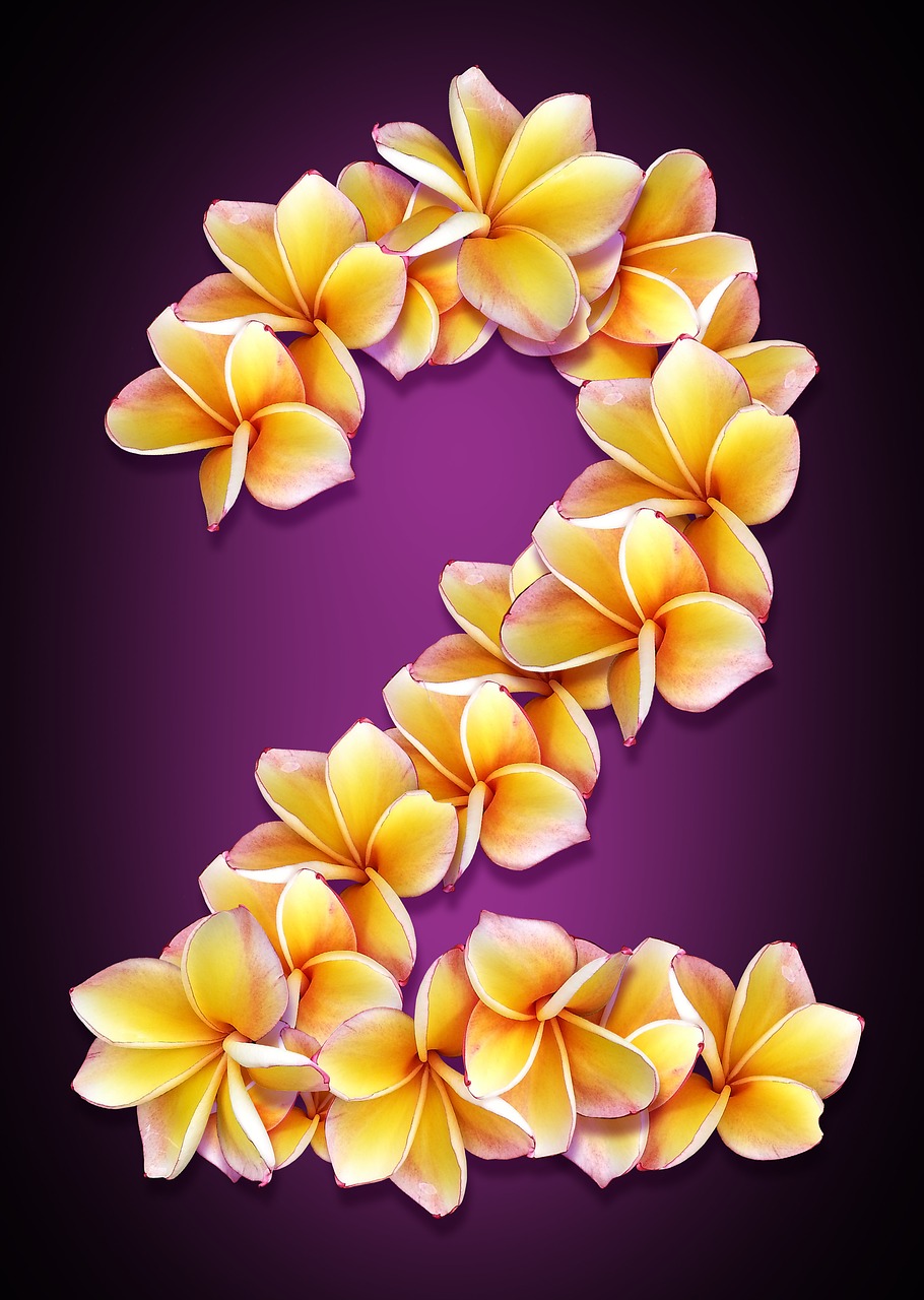 Image - figure date flowers collage design