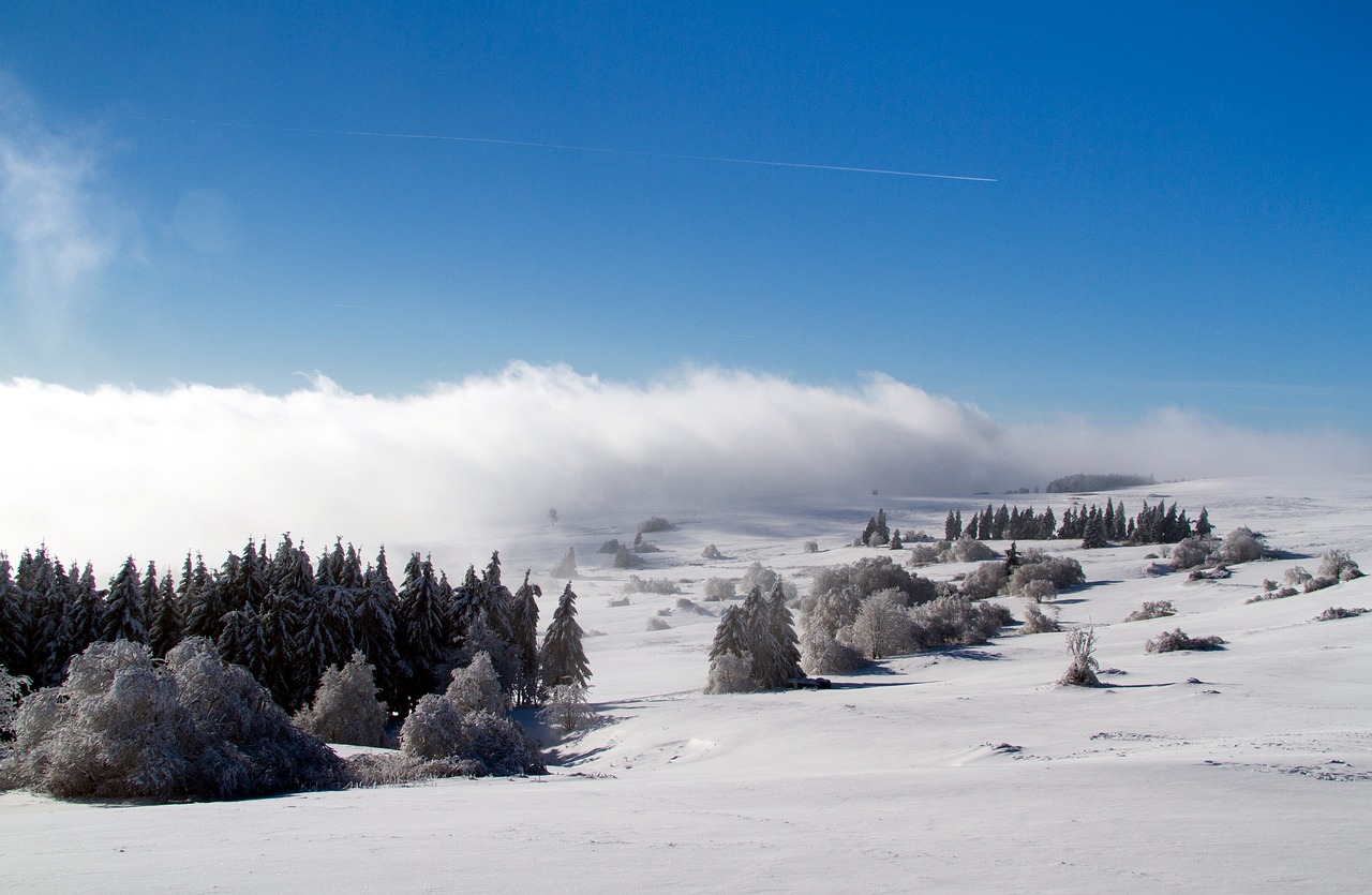 Image - winter snow wintry hochrhoen