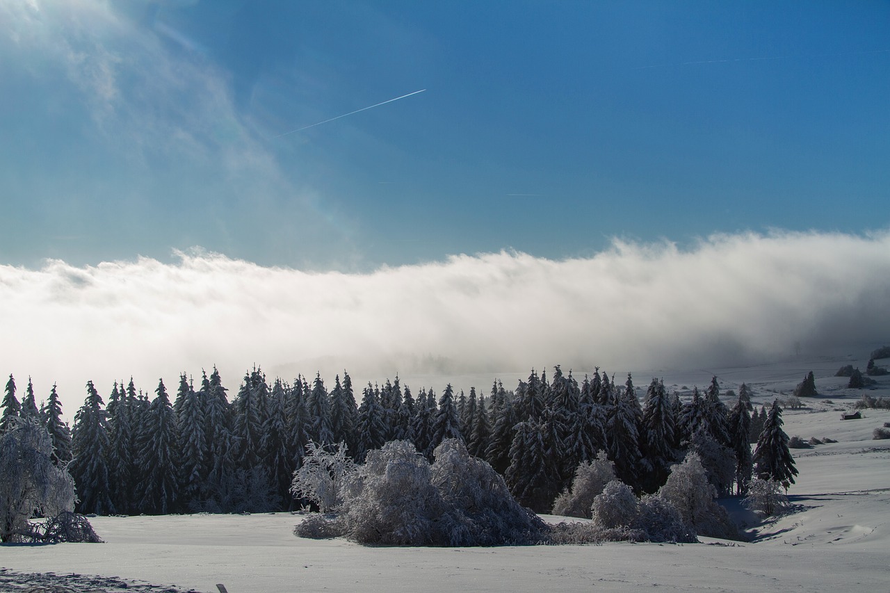 Image - winter snow wintry hochrhoen