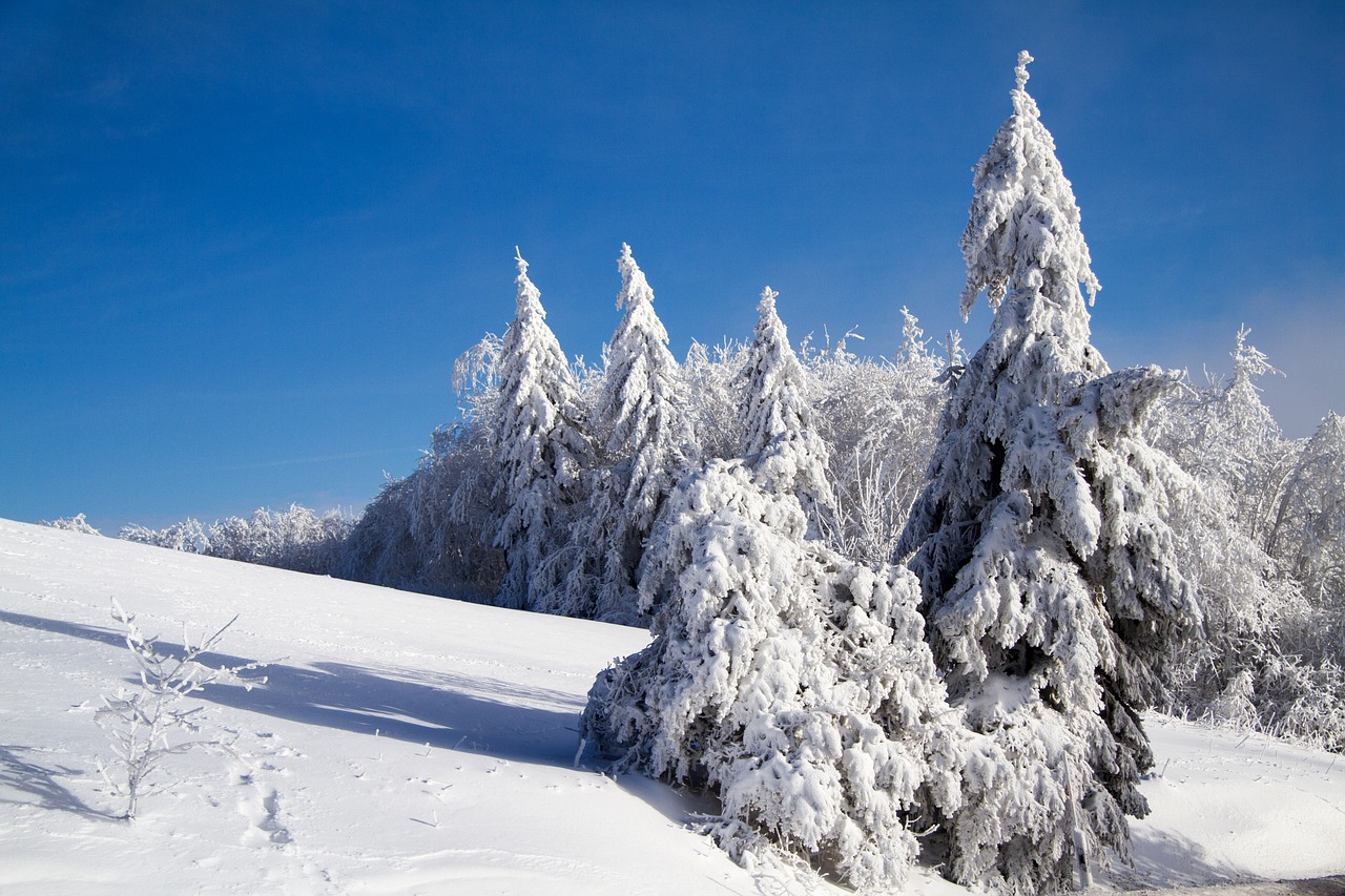 Image - winter snow wintry hochrhoen