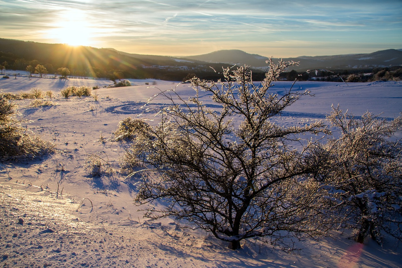 Image - winter snow wintry hochrhoen