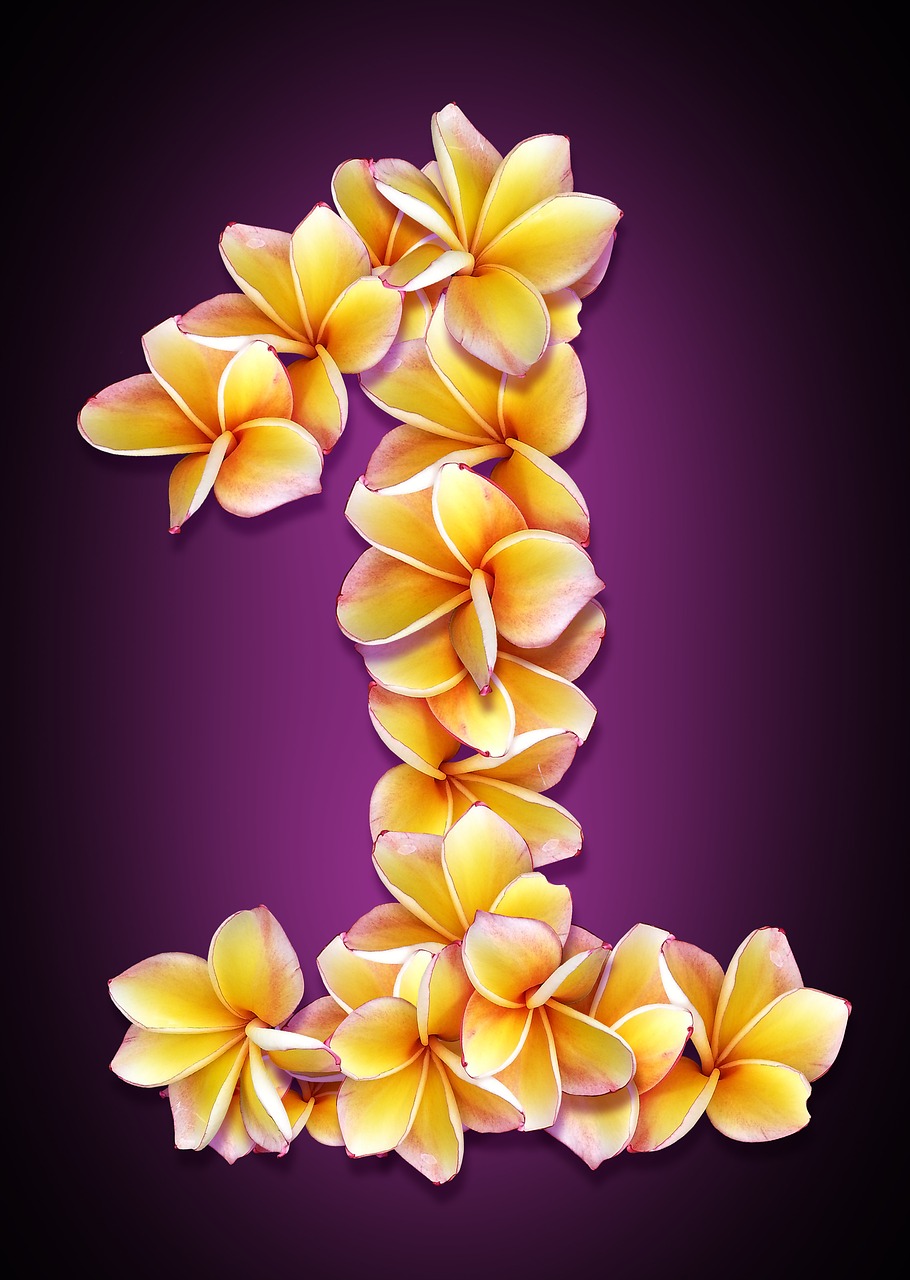 Image - figure date flowers collage design