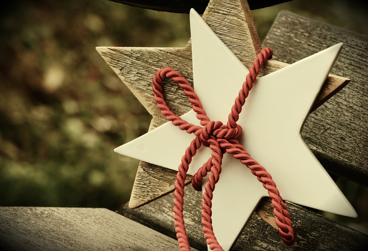 Image - poinsettia star christmas loop