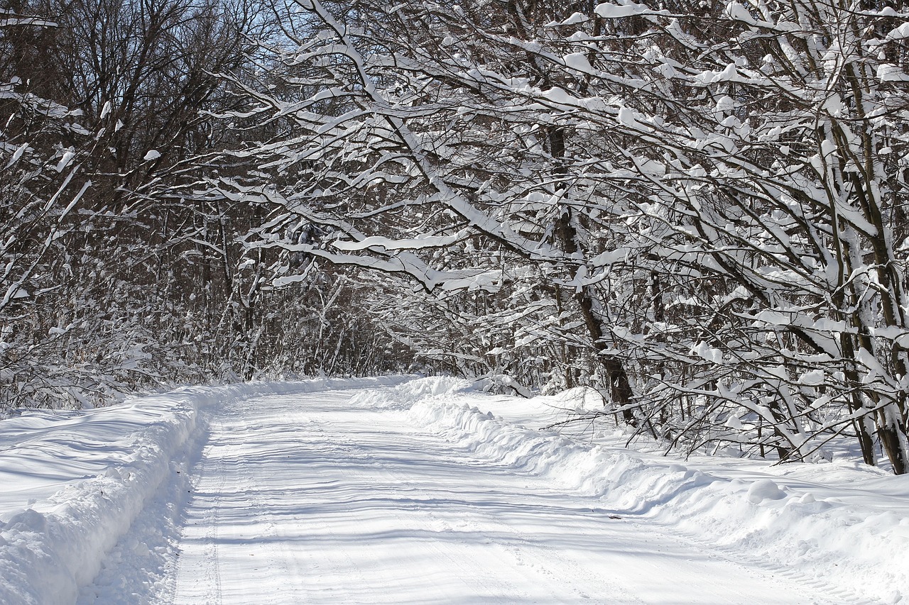 Image - winter snow scenic landscape cold