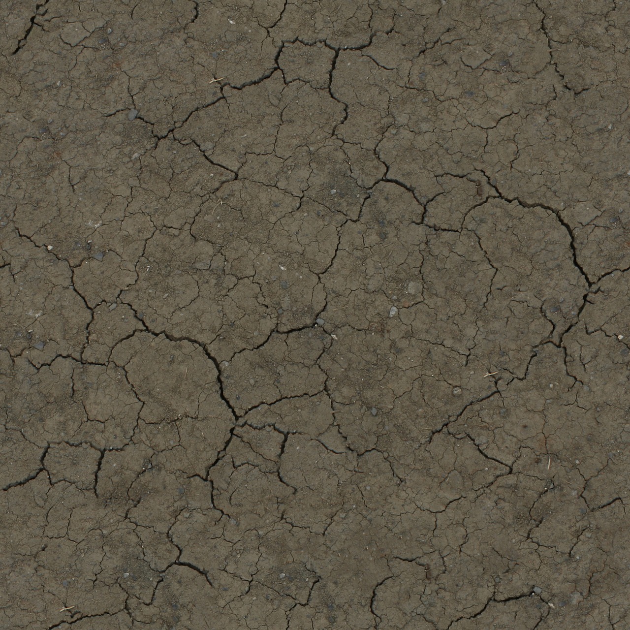 Image - crackled ground earth dry land