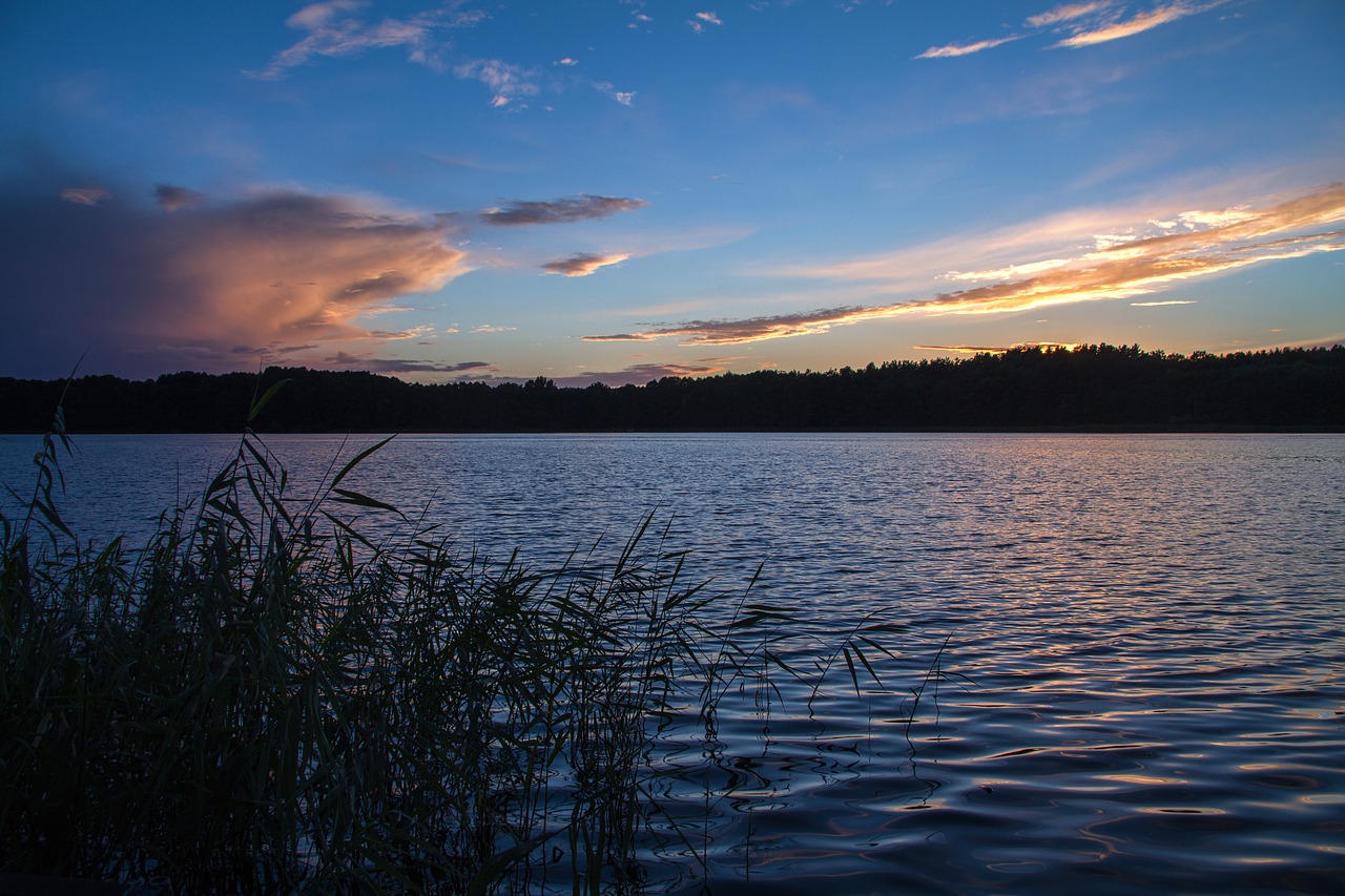 Image - müritz mecklenburgische seenplatte