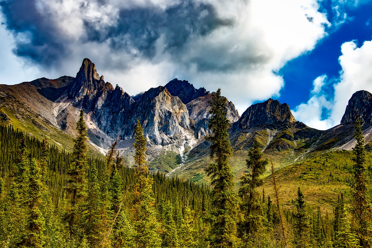 Image - california yosemite national park