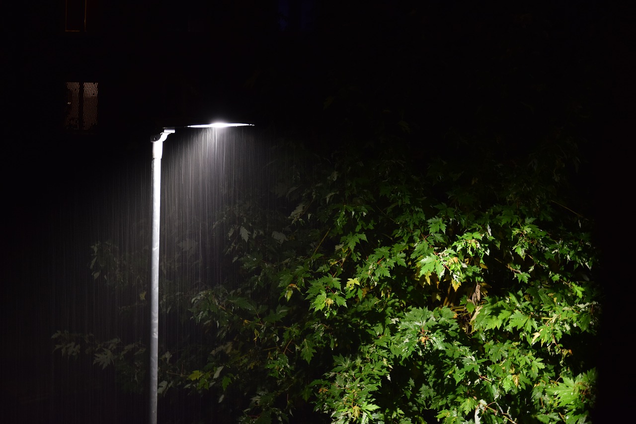 Image - rain lantern tree night street