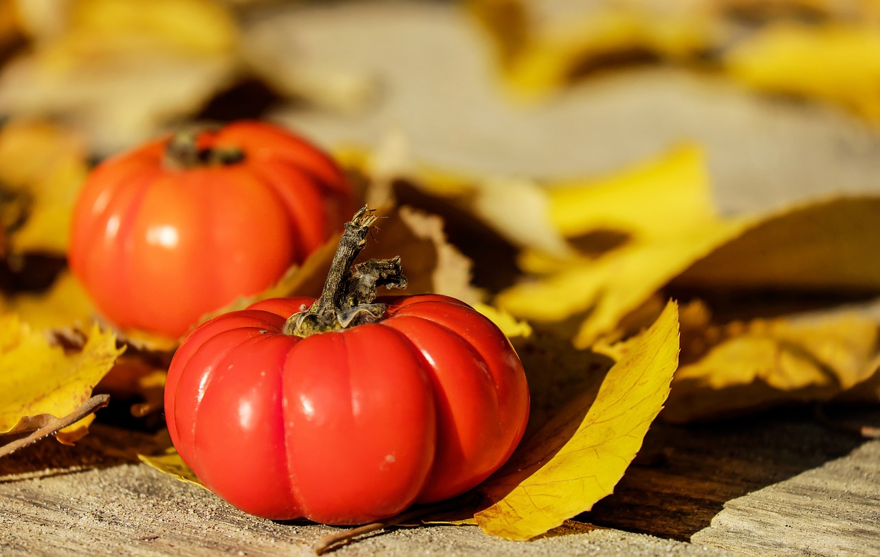 Image - tomatoes fruit orange