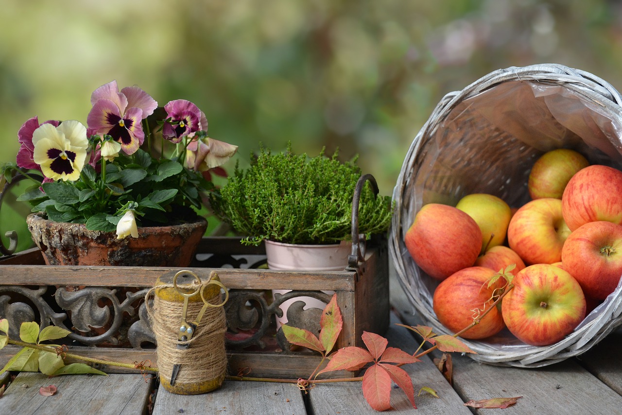 Image - apple autumn leaf basket