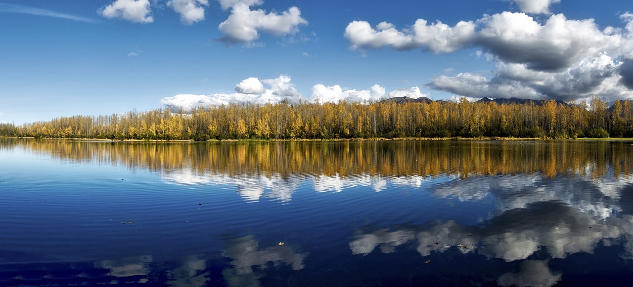 Image - landscape scenic cheney lake