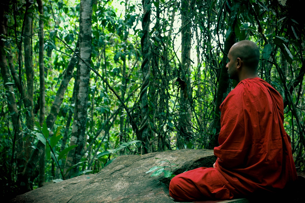 Image - meditation bhikkhu mahamevnawa