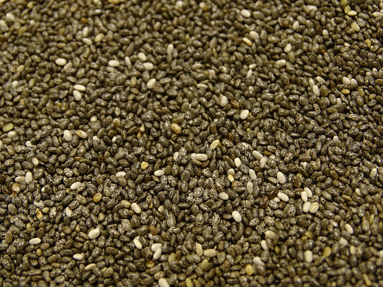 Image - chia seeds nutrition food water