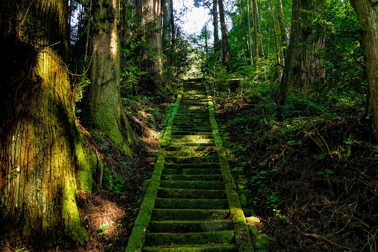 Image - japan aso shrine stairs moss
