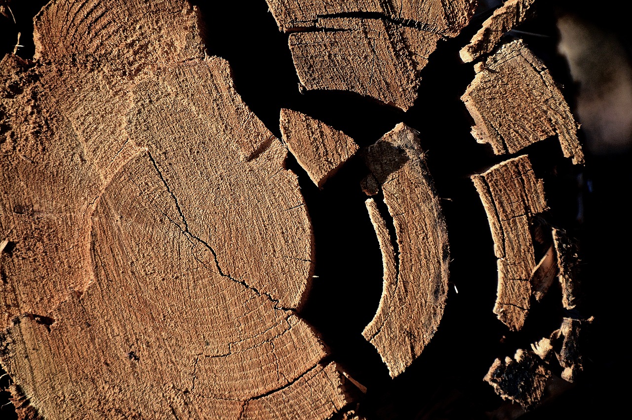 Image - log tribe wood like fragmented