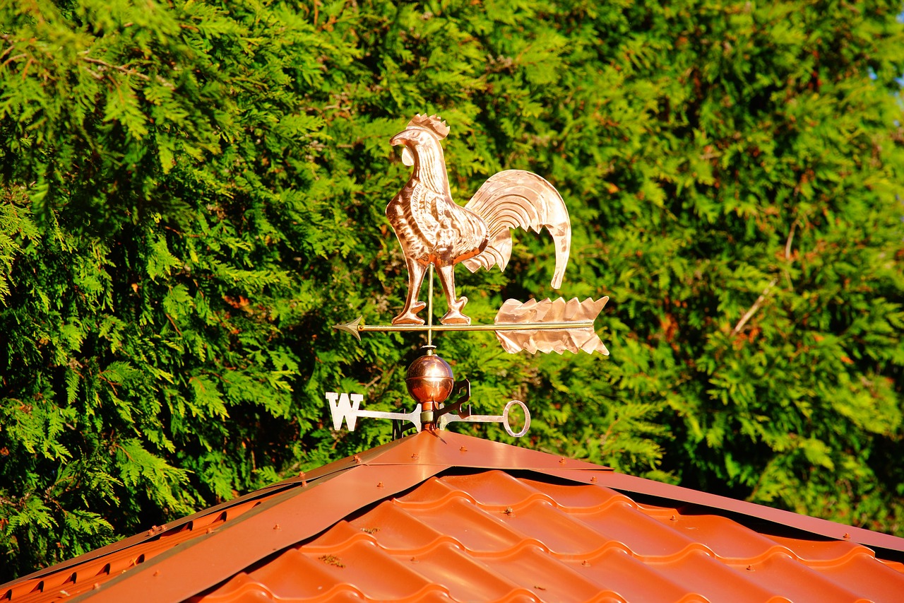 Image - home roof weather vane