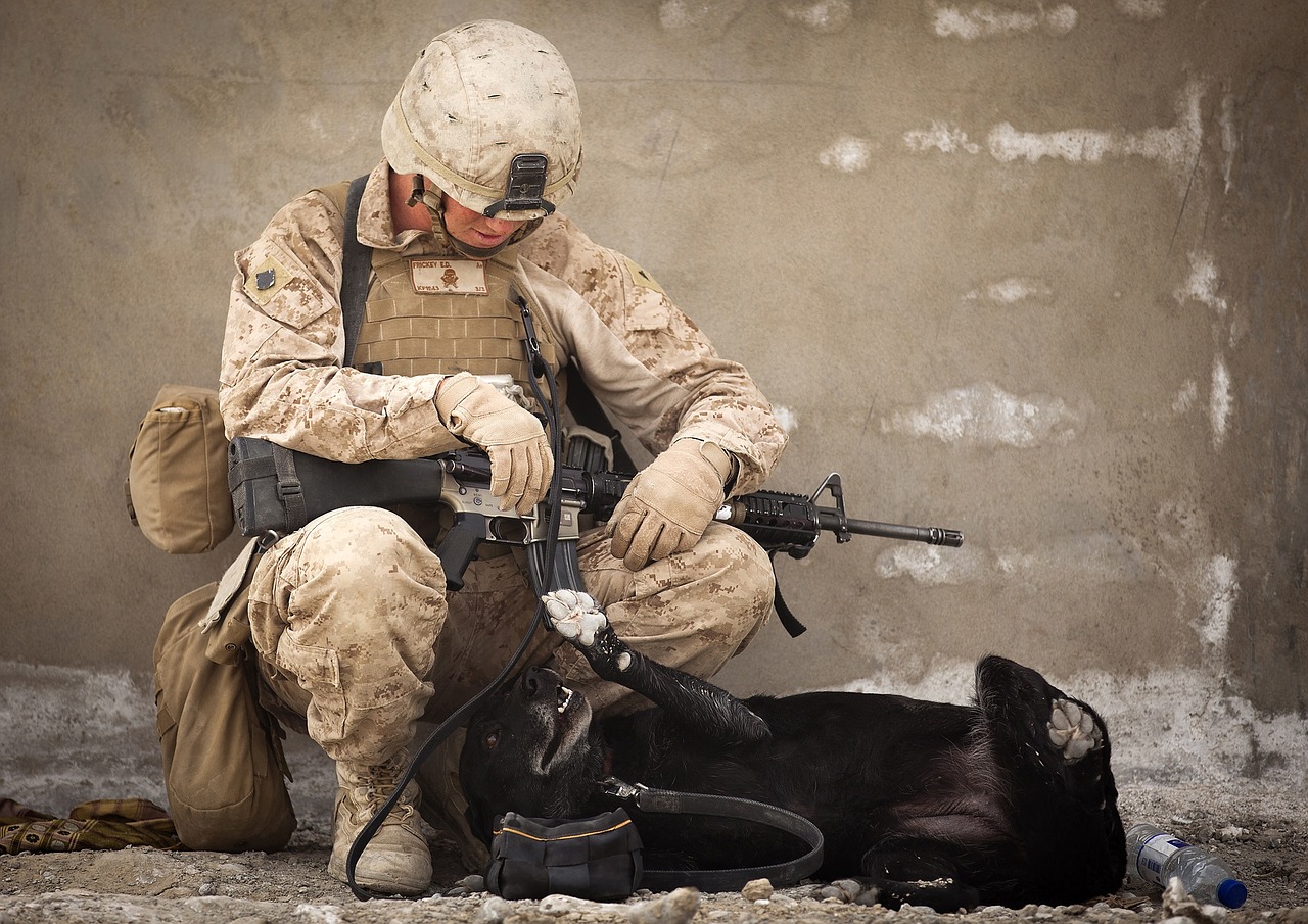 Image - working dog military handler