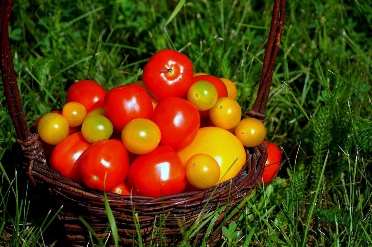 Image - tomatoes food vitamins nature