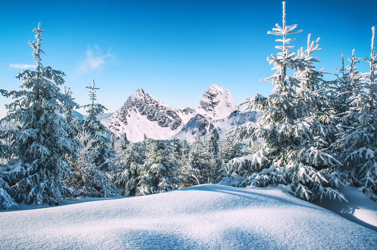 Image - winter snow nature mountains