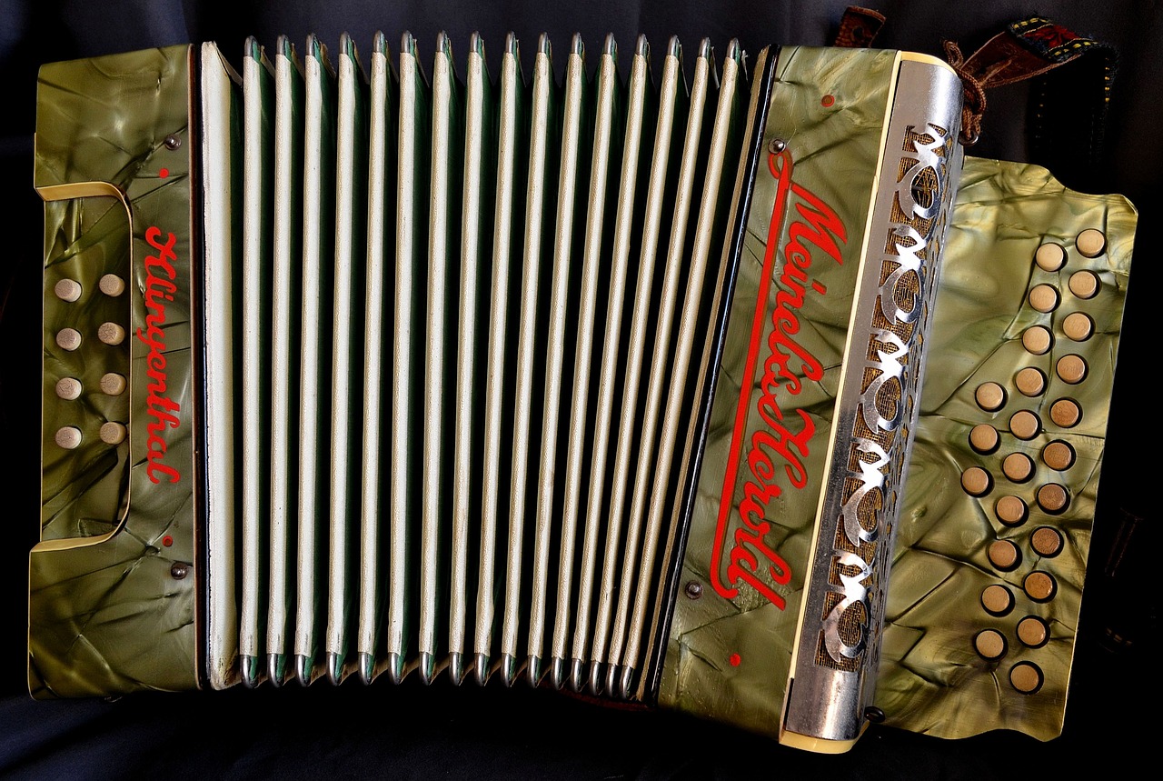 Image - accordion ziehamonika