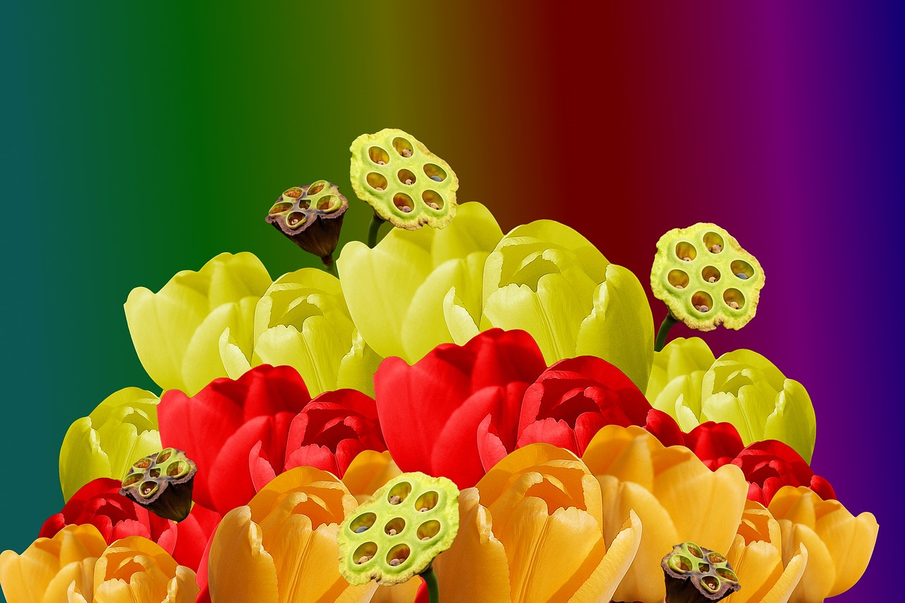 Image - the background flowers colored