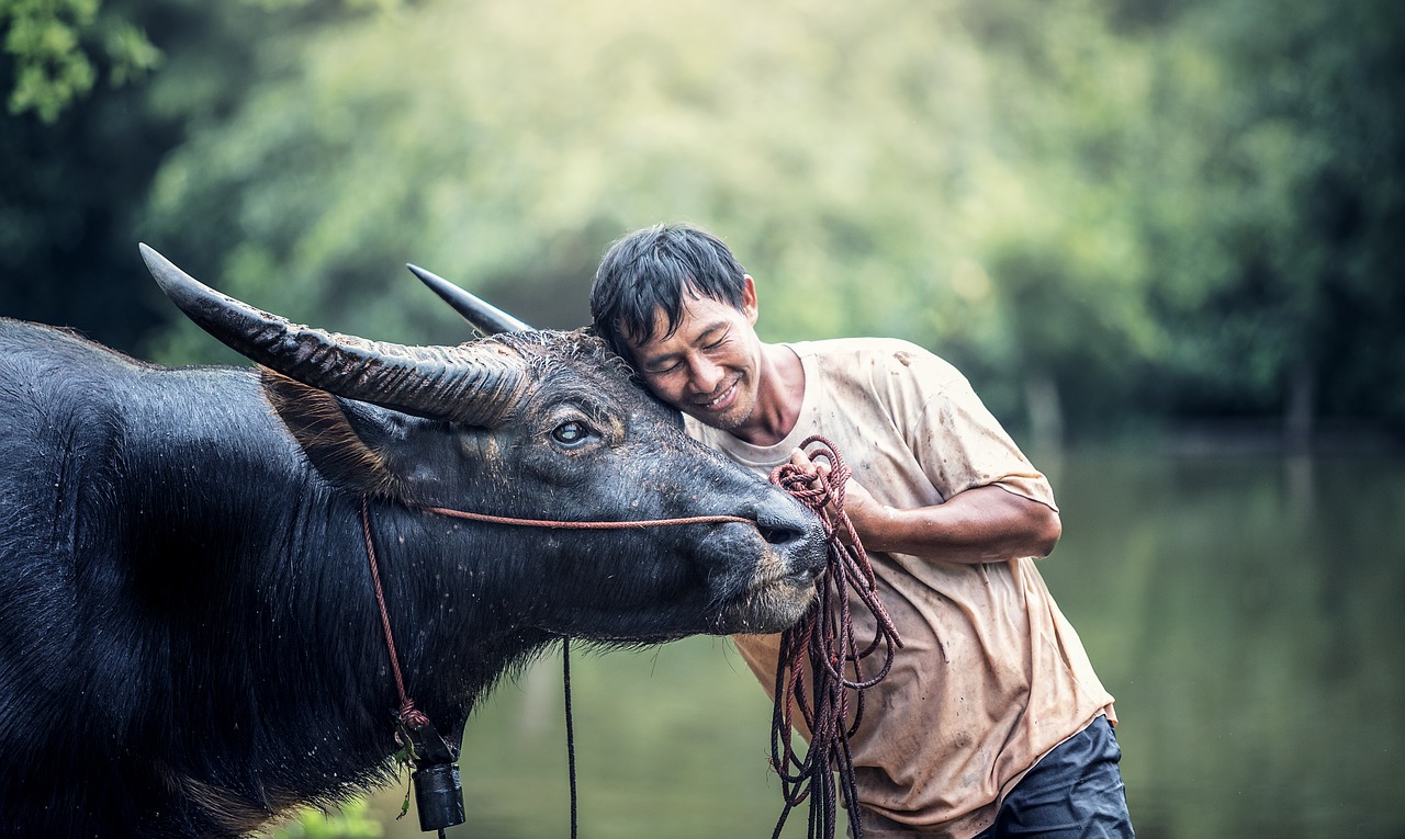 Image - animals men s agriculture