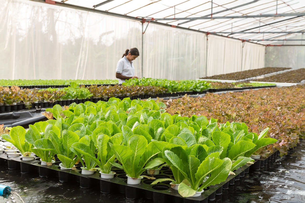 Image - conservatory agriculture aquaculture