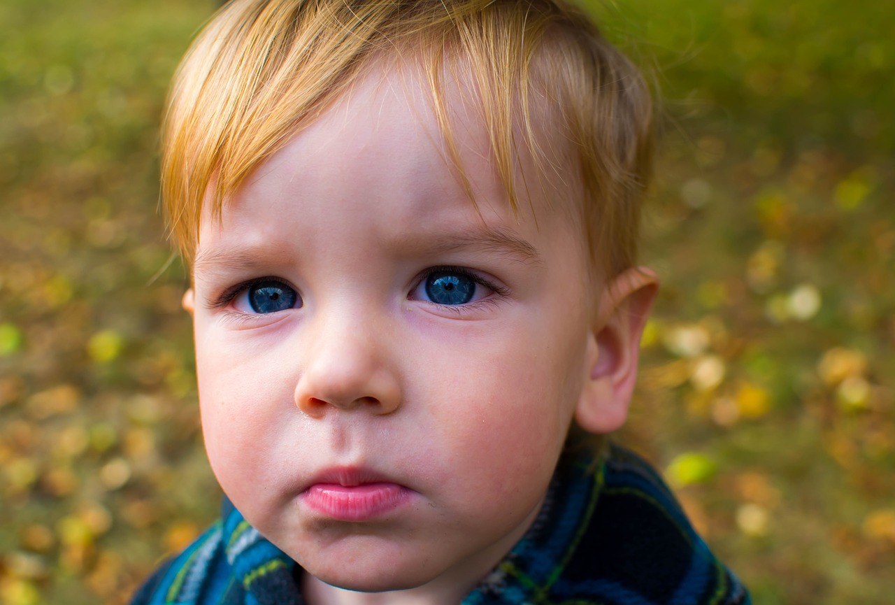 Image - child a serious portrait blue eyes