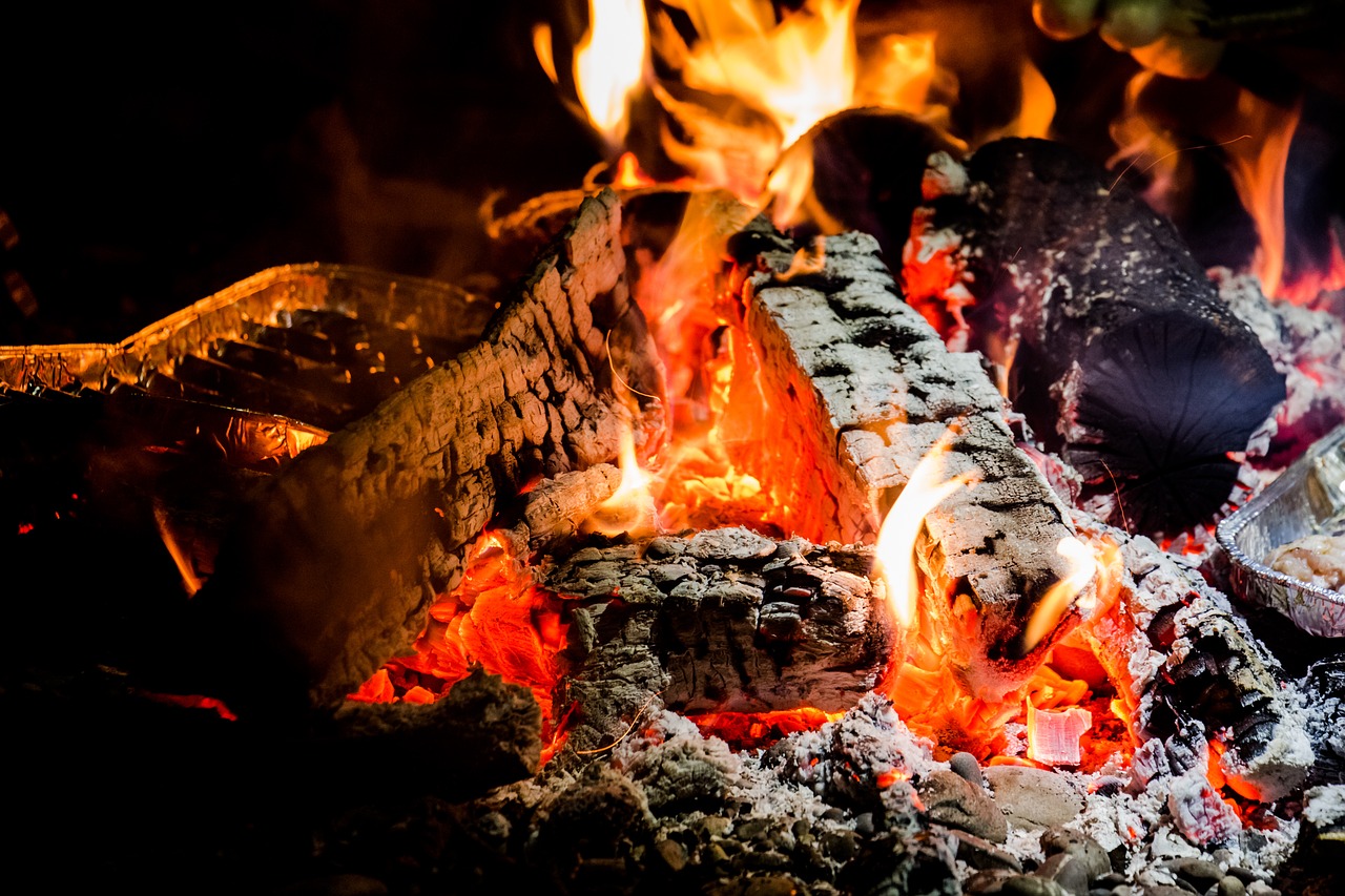 Image - fire flame campfire barbecue